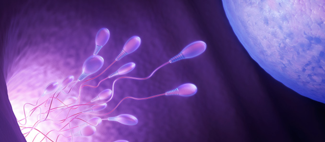 Blog post topfertilityclinicsnearme