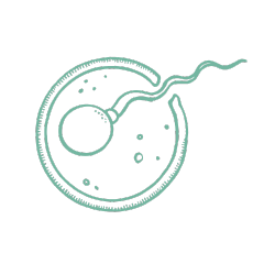 Fertility Test For Men